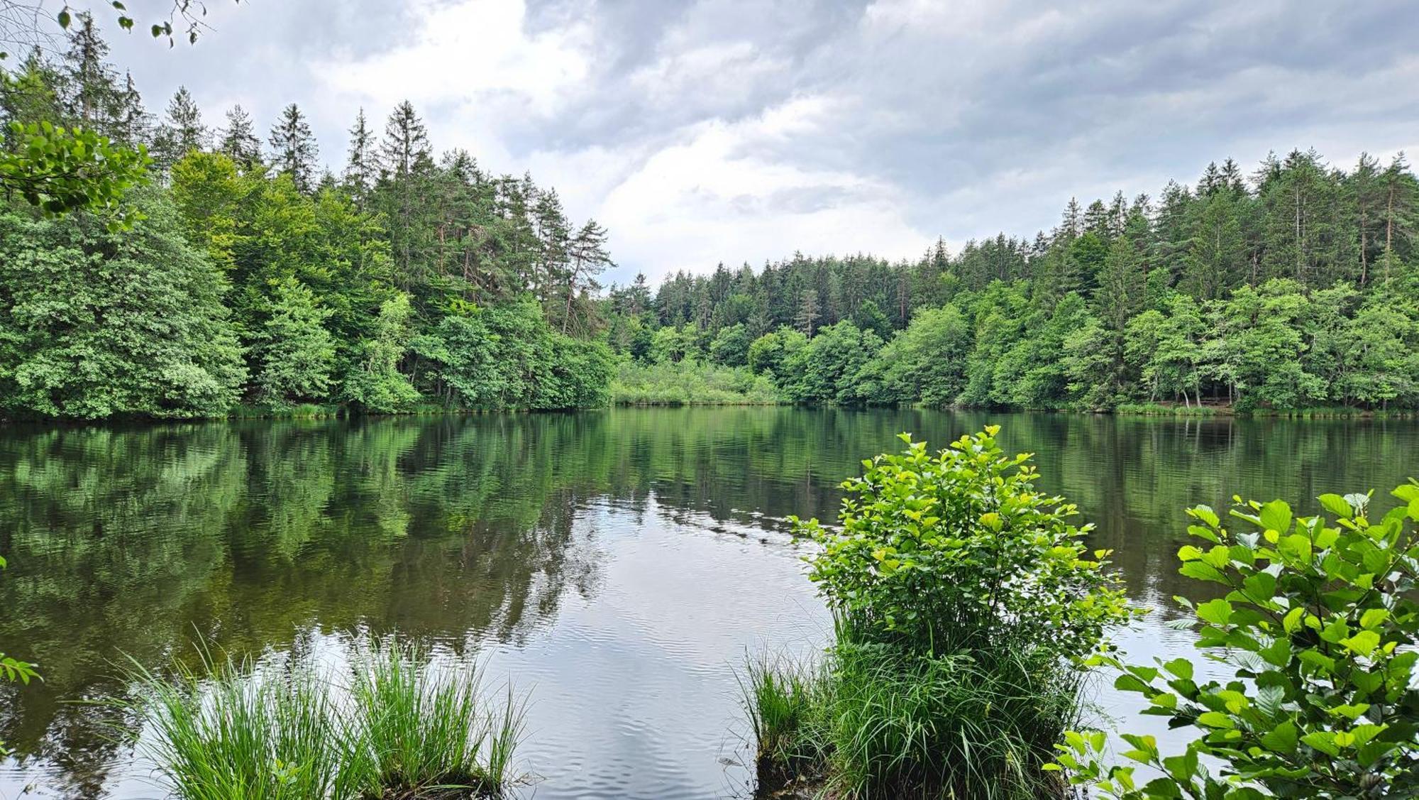 "Casa Antonio" 3 Gehminuten Strandbad Sekirn, Inkl Seezugang Bagian luar foto