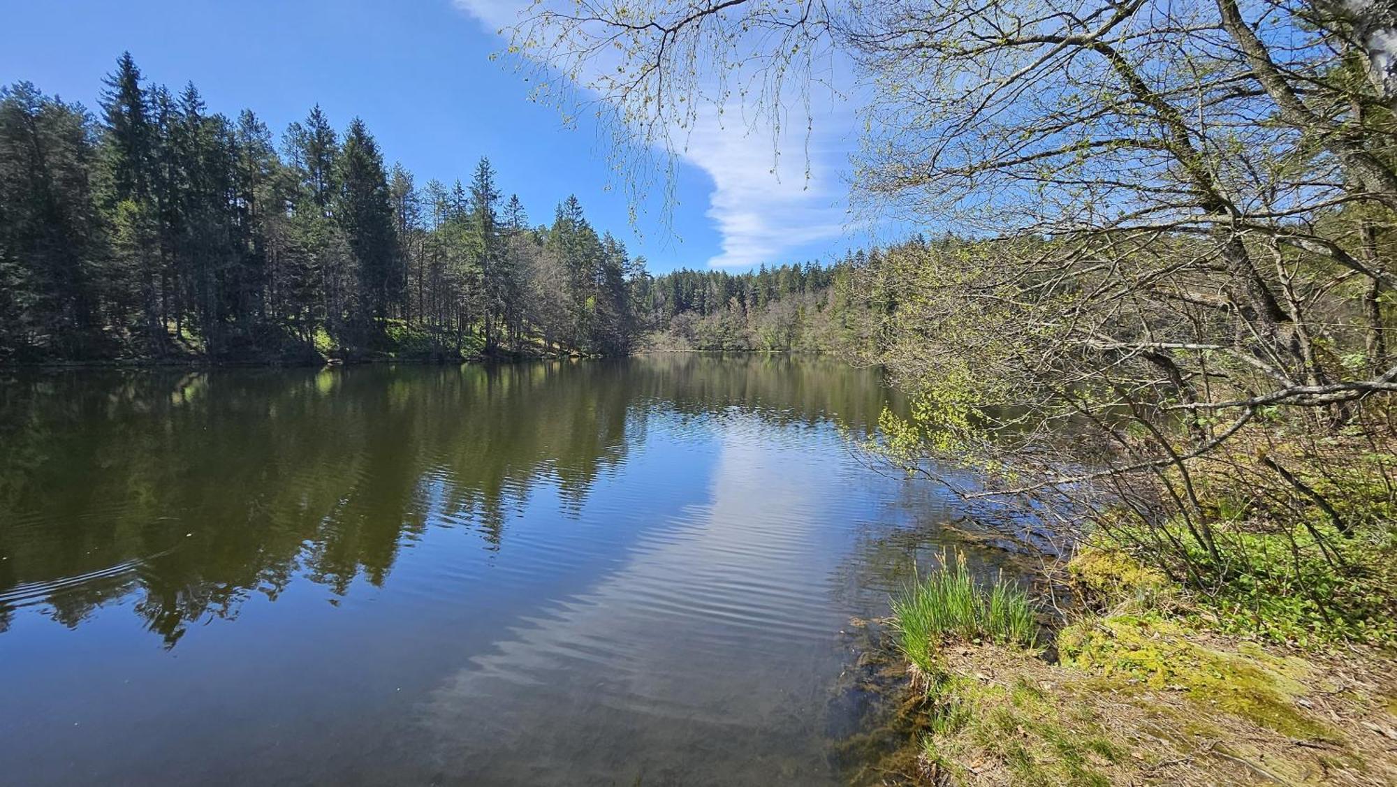 "Casa Antonio" 3 Gehminuten Strandbad Sekirn, Inkl Seezugang Bagian luar foto
