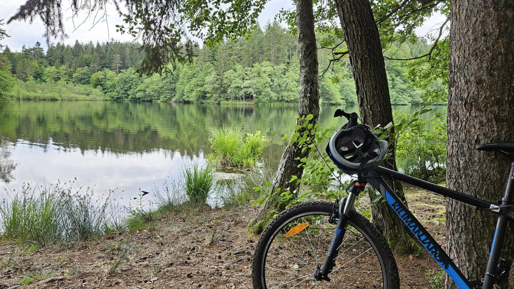 "Casa Antonio" 3 Gehminuten Strandbad Sekirn, Inkl Seezugang Bagian luar foto