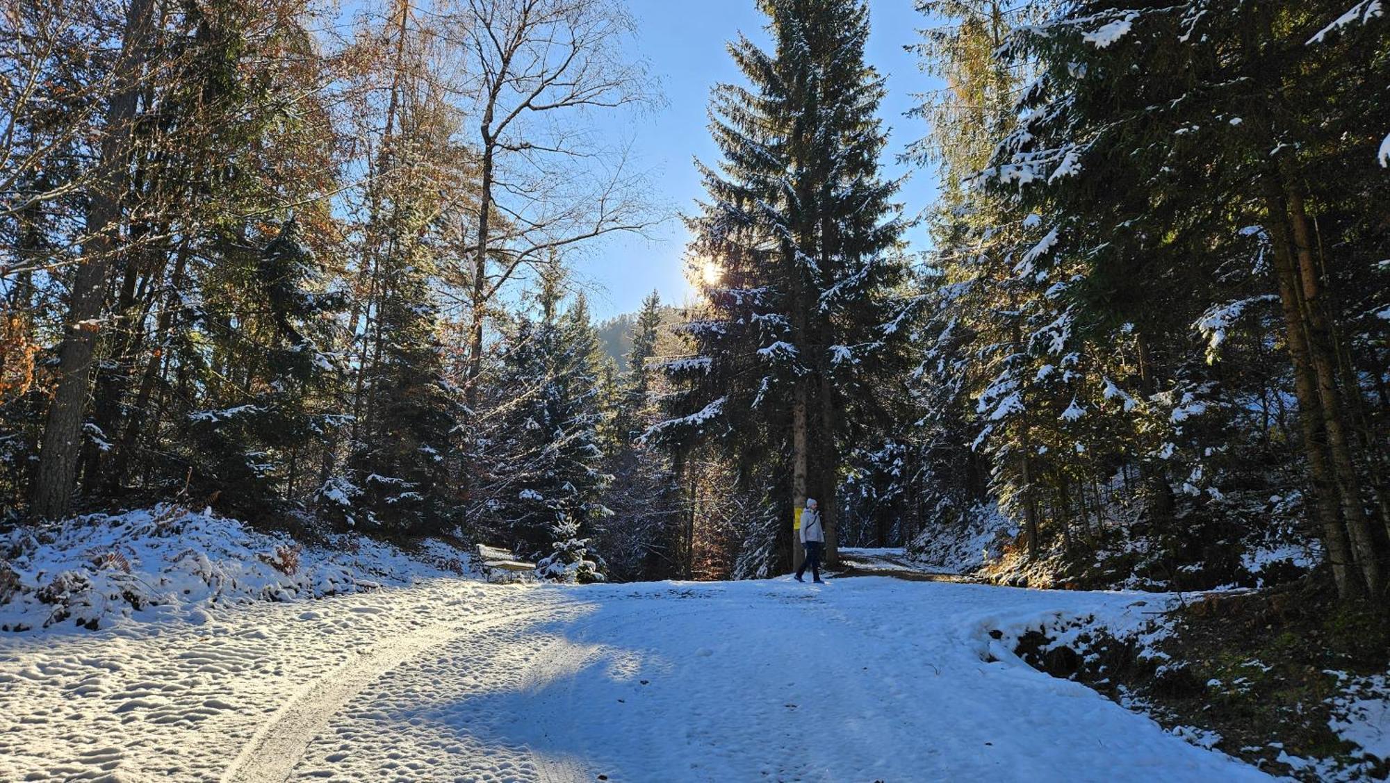 "Casa Antonio" 3 Gehminuten Strandbad Sekirn, Inkl Seezugang Bagian luar foto