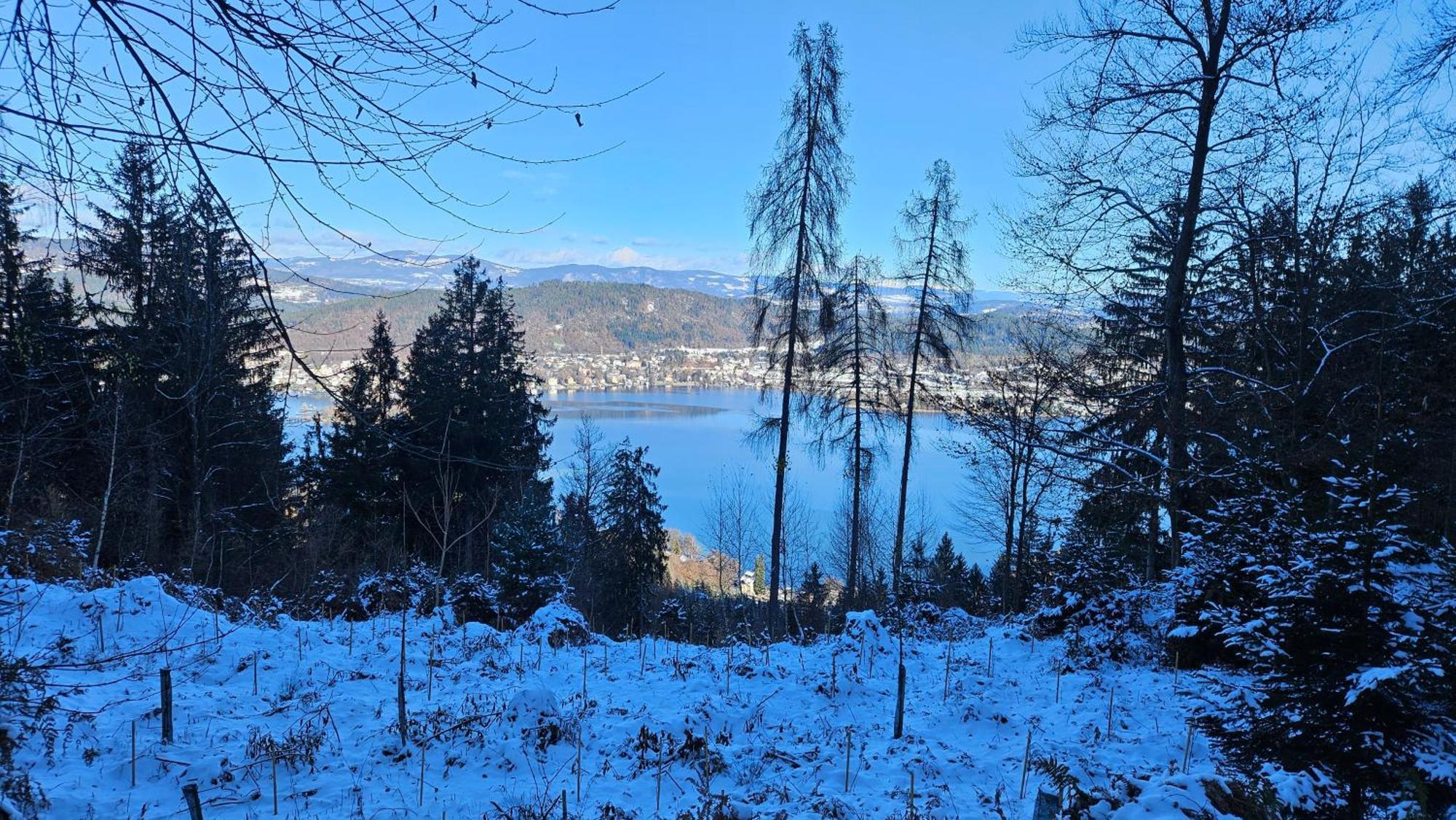 "Casa Antonio" 3 Gehminuten Strandbad Sekirn, Inkl Seezugang Bagian luar foto